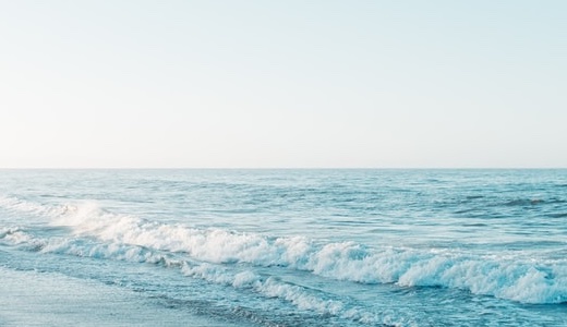 保護中: codolife-menta